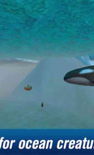 Killer Whale: Orca Simulator 2