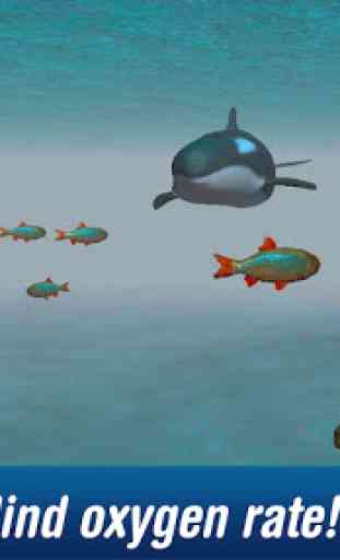 Killer Whale: Orca Simulator 4