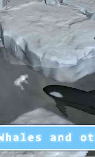 Killer Whale Orca Simulator 2