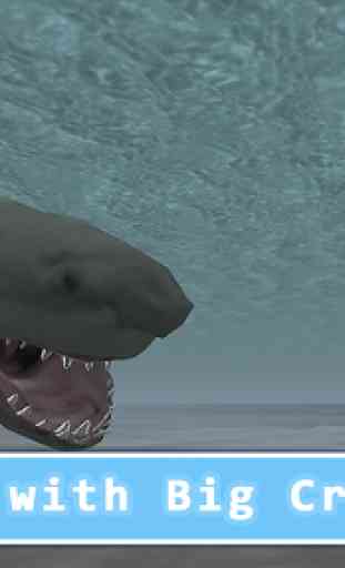 Killer Whale Orca Simulator 4