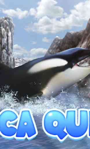 Orca Simulator: Animal Quest 1