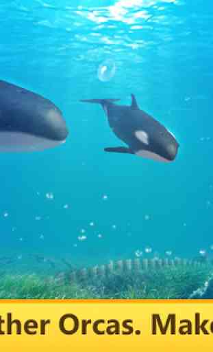 Orca Simulator: Animal Quest 3