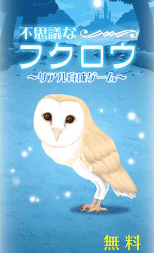 Owl Simulation Game 1
