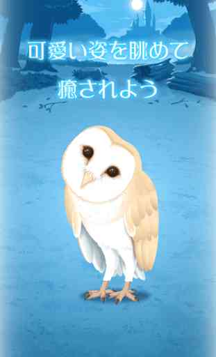 Owl Simulation Game 3