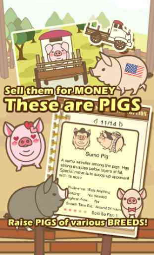 Pig Farm 3