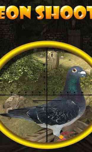 Pigeon (Kabootar) Shooting, 3D 1