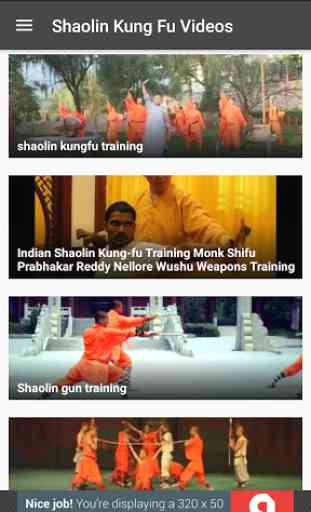 Shaolin Kung Fu Videos 2