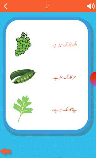 Shapes & Colors for Kids Urdu 4