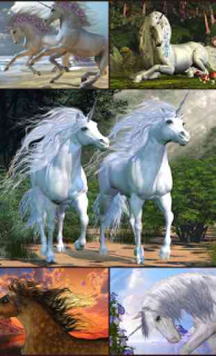 Unicorns Puzzle Game for Kids 1