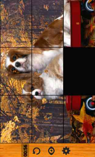 Best Dog Puzzle Games Free 3
