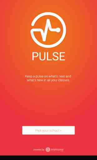 Brightspace Pulse 1