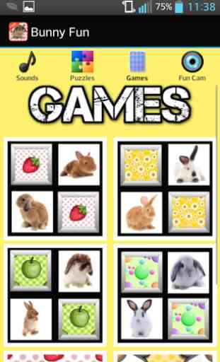 Bunny Games for Kids - Free 3