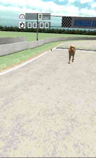 Dog Racing : Labrador 3