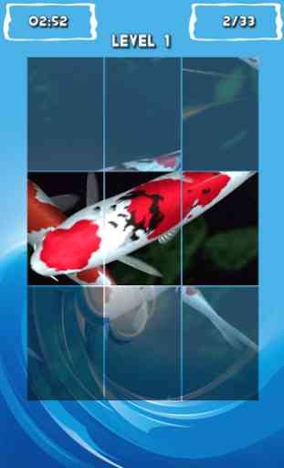 Fancy Koi Fish Puzzle Game 3