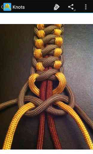 Guide for knots 4