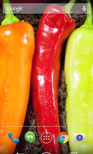 Hot Chili Peppers Wallpaper 1