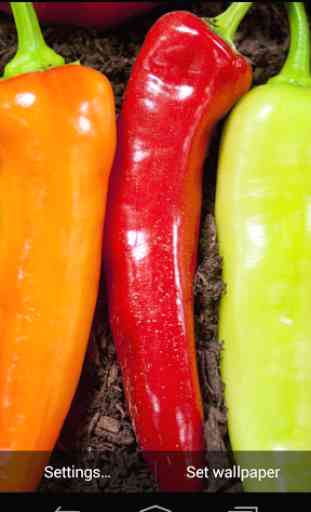 Hot Chili Peppers Wallpaper 2