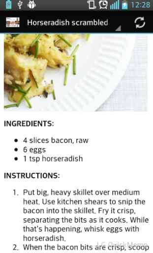 Paleo Diet Recipes 2