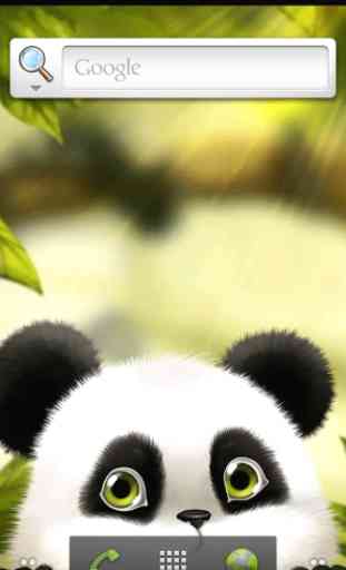 Panda Chub Live Wallpaper Free 1