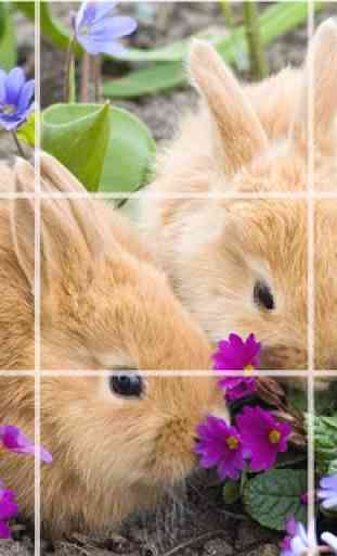 Puzzle - Cute bunnies 1