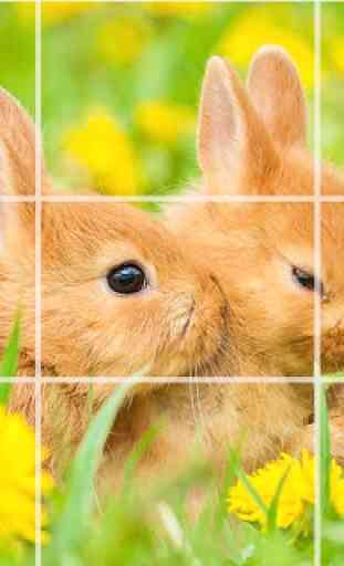 Puzzle - Cute bunnies 4