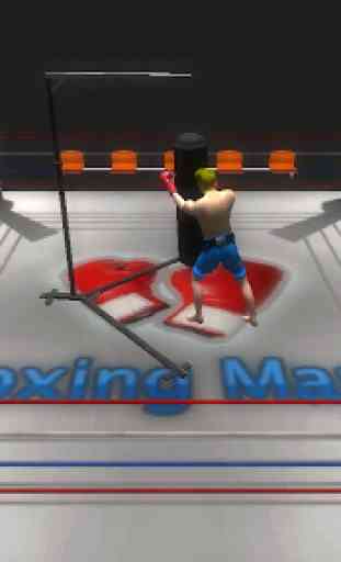Boxing Mania 4