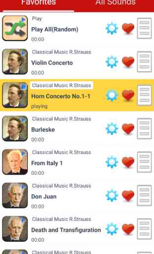 Classical Music R.Strauss 2