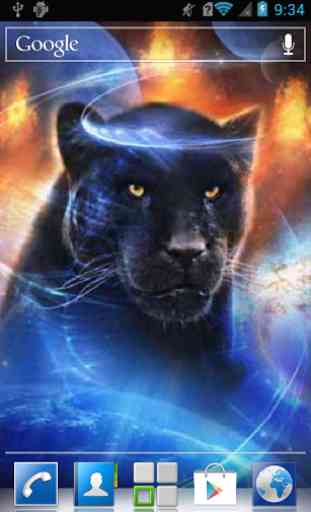 Fantastic panther live wp 1