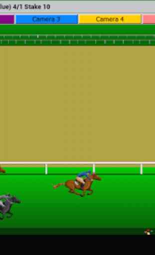 Flat Race Horse Racing 2