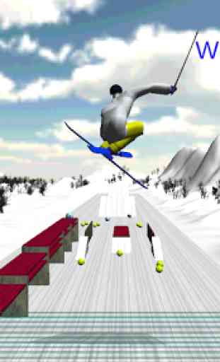 Free Ski in Japan 3D 1