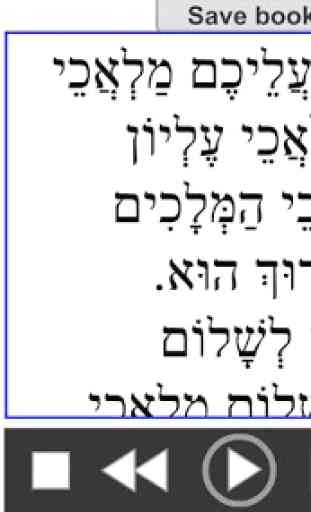 Hebrew Siddur Reader 3