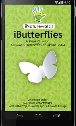 iButterflies 1