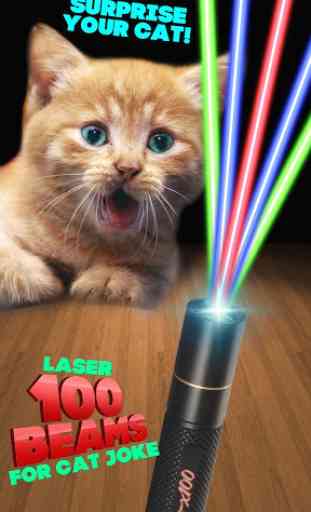 Laser 100 Beams for Cat Joke 2