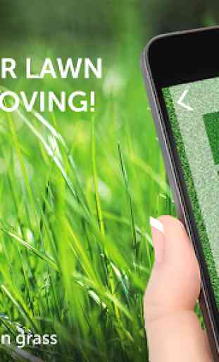 Lawnmower: writing on grass 2