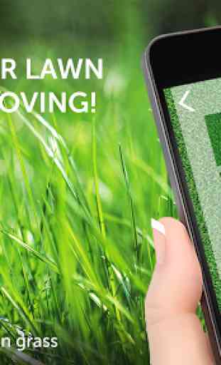 Lawnmower: writing on grass 4