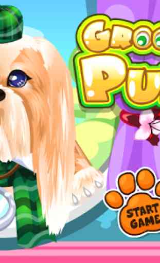 Pet Puppy Grooming & Care 1