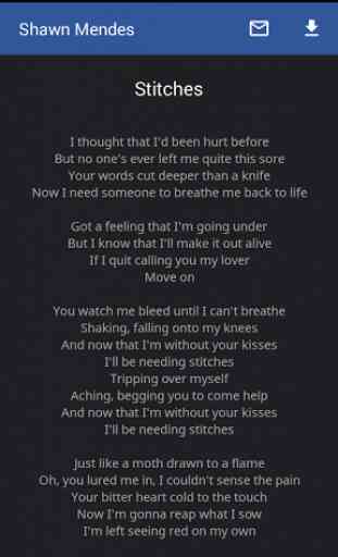 Shawn Mendes Lyrics 3