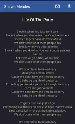 Shawn Mendes Lyrics 4