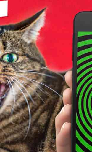 Tease Cat! Hypnosis simulator 1