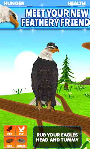 Virtual Pet Eagle 1