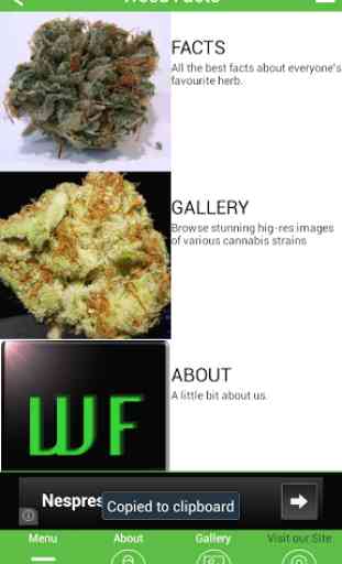 Weed Facts 3