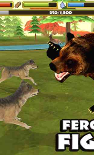 Wildlife Simulator: Wolf 2