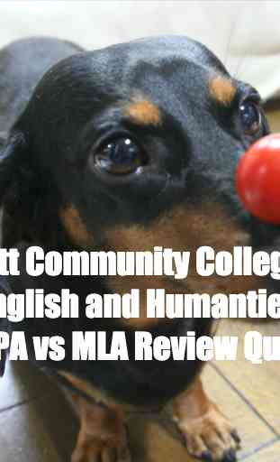 APA & MLA Review Terms 1