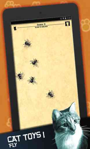 Cat Toys I: Games for Cats 4