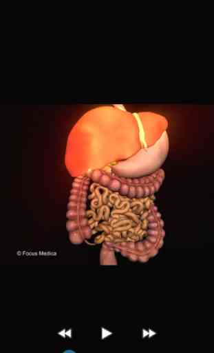 Gastroenterology-Medical Dict. 4