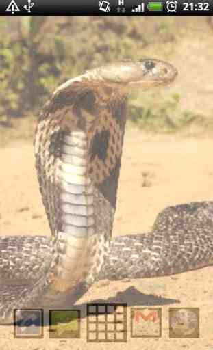 King Cobra Snake LWP 4