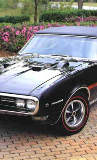 Legendary Muscle Cars 1