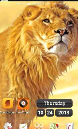 lions live wallpapers 2