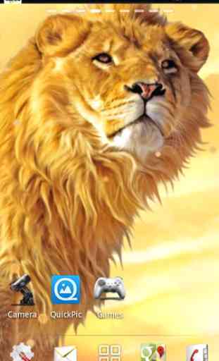 lions live wallpapers 3
