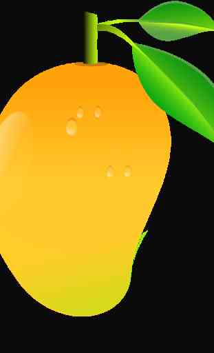 Mango Byte 1